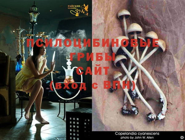 гашик Кинешма