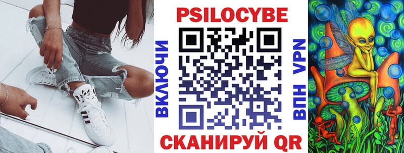 Галлюциногенные грибы Psilocybe  Купить где  Октябрьск 